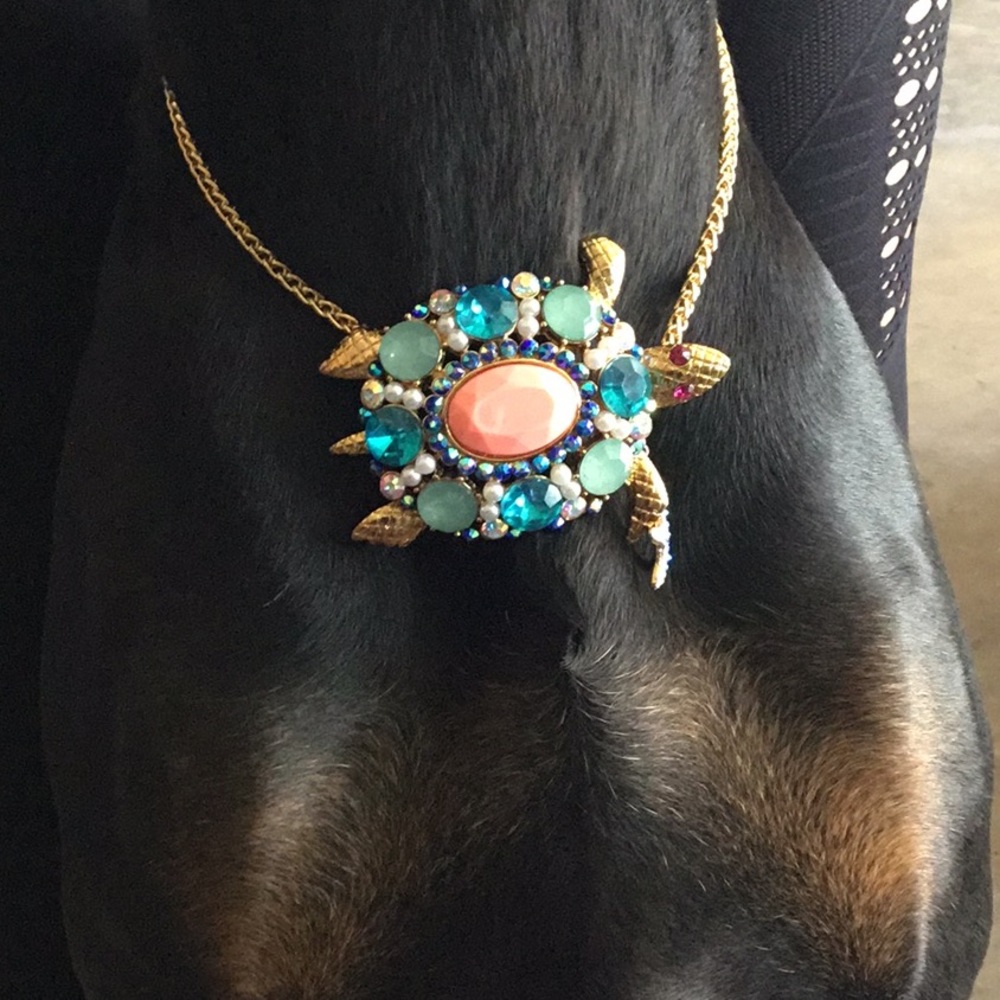 Betsey Johnson Women's Turtle Necklace.